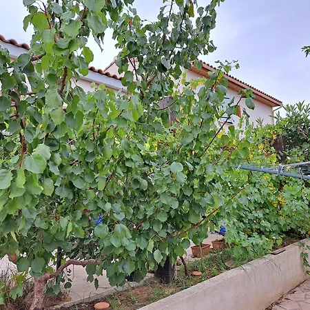 Cantegrel, D'hôtes Et Sanitaires à L'étage Chez L'habitant, 3 Jours Minimum Kwatera prywatna Lunel-Viel